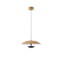 LÁMPARA COLGANTE PINTURA MADERA LED 7W 338lm 3000K Ø345mm ARTE ILLUMINA PENNY