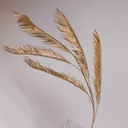 816-20001_2.jpg