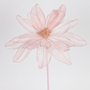 DALIA, ROSA, 33x45cm