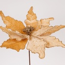 GRANDE FLOR, CHAMPÁN, 44x50cm