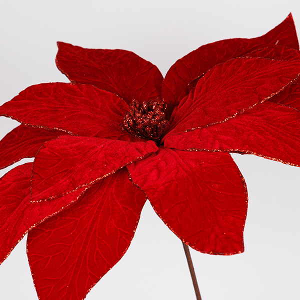 GRANDE POINSETTIA, ROJA, 50x52cm