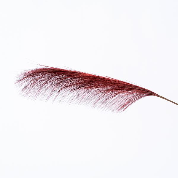 PLUMA, BURDEOS, 79cm