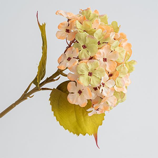 HORTENSIA, BEIGE, 17x45cm