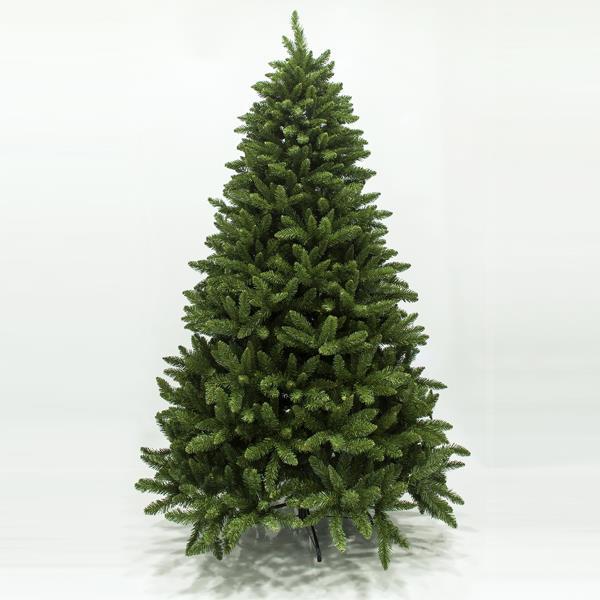 ABETO IMPERIAL, 240cm