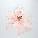 DALIA, ROSA, 33x45cm