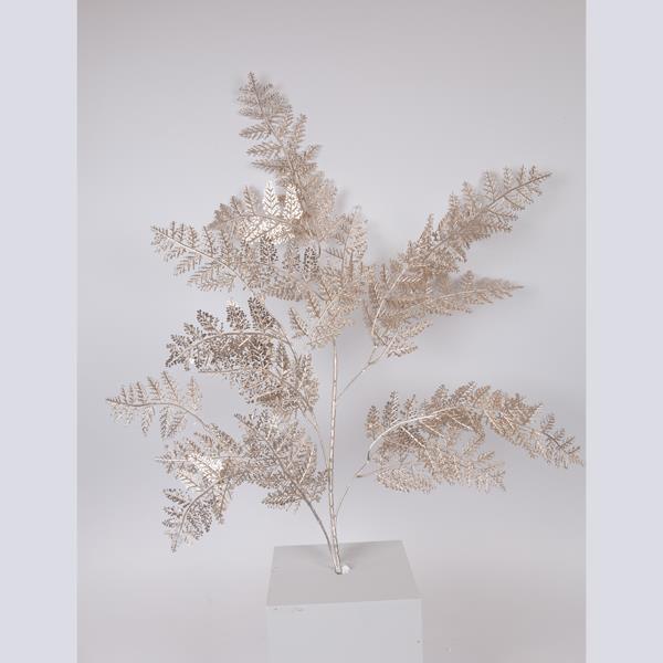 RAMITA DE HELECHO, CHAMPÁN, 107 cm