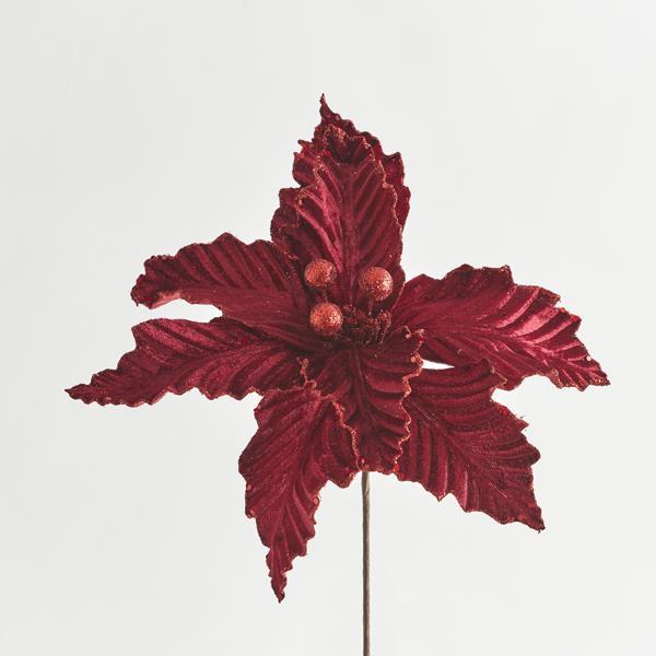 FLOR DE POINSETTI, BORGOÑA, 30x14cm