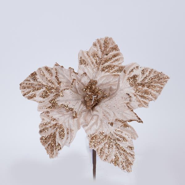 FLOR DE FESTÍN, CHAMPÁN CON ANTERAS BLANCAS, 22x12cm