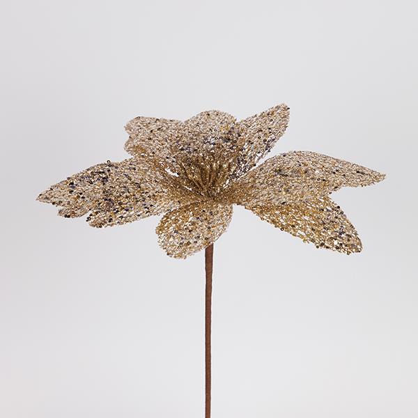 FLOR BRILLANTE DE CHAMPÁN, 30X45CM