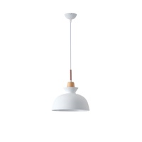 LÁMPARA DE TECHO COLGANTE METAL 1xE27 MÁX 15W 280x1234mm ARTE ILLUMINA DIGNITY