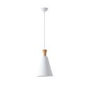 LÁMPARA DE TECHO COLGANTE METAL 1xE27 MAX 15W 200x1380mm ARTE ILLUMINA OPACO