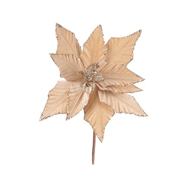 TERCIOPELO FLOR DE PASCUA, CHAMPÁN, CON PURPURINA, 30X20CM