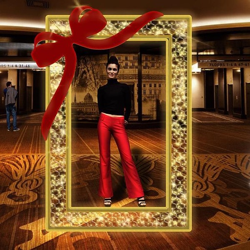 [600-23457] DISEÑO PROFESIONAL, MARCO DE FOTOS 3D, LUZ DE CUERDA LED BLANCO CÁLIDO, 165x250cm, IP65