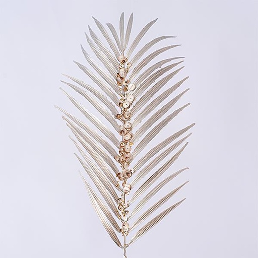 [600-45387] HELECHO, CHAMPÁN, CON JEMS, 73cm