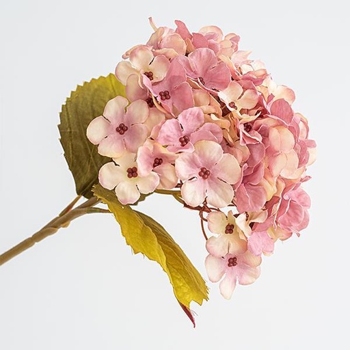 [600-45442] HORTENSIA, BEIGE-ROSA, 17x45cm
