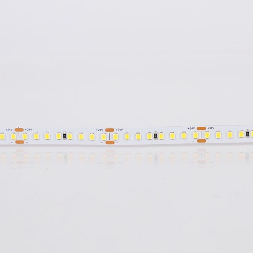 TIRA LED 5M 14,4W/m 24V 160L/M IP20 PRO (PRECIO POR METRO)