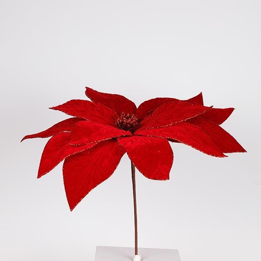 [600-47422] GRANDE POINSETTIA, ROJA, 50x52cm