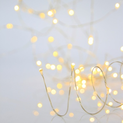 [600-07481] MINI LED LÍNEA 300, ADAPTADOR DE 6 V, FIJO, CABLE DE COBRE PLATEADO, LED BLANCO CÁLIDO, POR 10 cm, CABLE DE CONDUCCIÓN 5 m, IP44