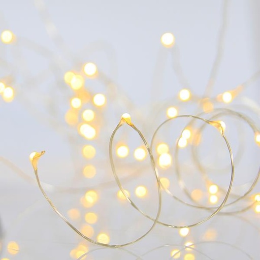 [600-07721]  LÍNEA, 50 MINI LED, CAJA DE PILAS 2XAA, TEMPORIZADOR, CABLE DE COBRE PLATEADO, LED BLANCO CÁLIDO, POR 10 cm, CABLE DE CONDUCCIÓN DE 10 cm, IP20, CAJA DE EXPOSICIÓN (24 UDS.)