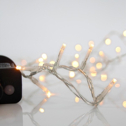 [600-14501] LÍNEA, 700 LED 3 mm, ADAPTADOR 31 V, 8 M/F Y MEMORIA, CABLE DE PVC TRANSPARENTE, LED BLANCO CÁLIDO POR 5 cm, CABLE DE CONDUCCIÓN 3 m, IP44