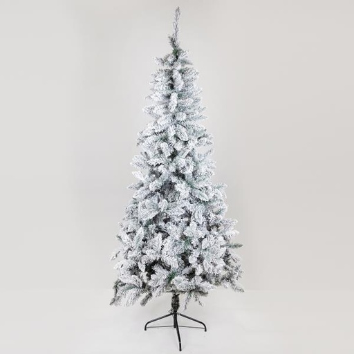 [600-30641] ABETO NEVADO, ESCOCIA, 240 cm