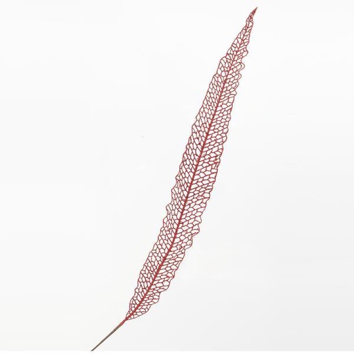 [600-40946] PLUMA ROJA, 115cm