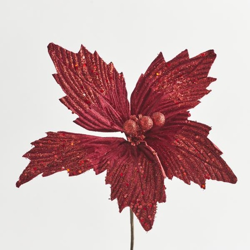 [600-45946] FLOR DE POINSETTI, BORGOÑA, 30x15cm