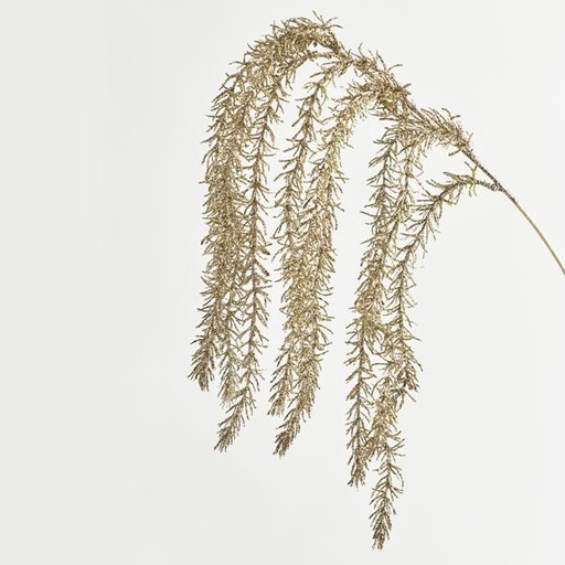 [600-45952] RAMITA, CHAMPÁN, 68cm