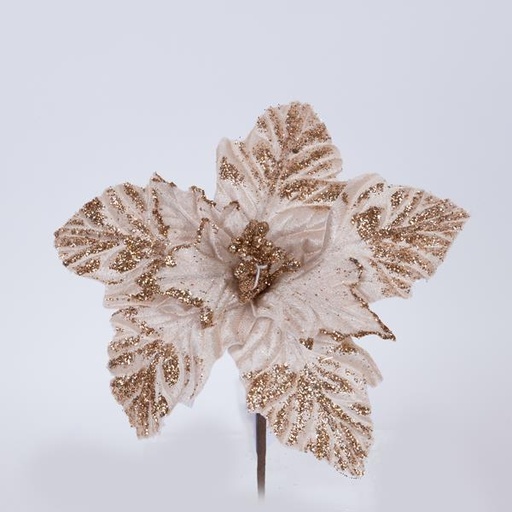 [600-46158] FLOR DE FESTÍN, CHAMPÁN CON ANTERAS BLANCAS, 22x12cm