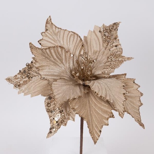 [600-46173] FLOR DE TERCIOPELO, CHAMPÁN, 32 cm