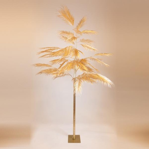 [600-46314] HELECHO DORADO DE ÁRBOL, 250cm