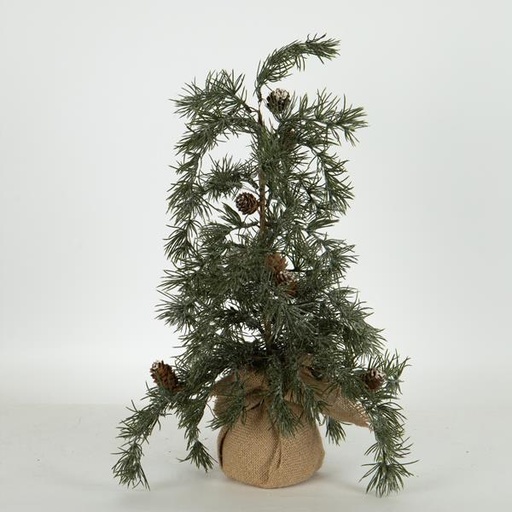 [600-46372] SAUCE, 54cm