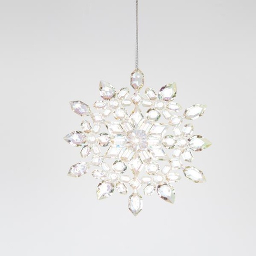 [600-46472] COPO DE NIEVE ACRÍLICO, IRIDISCENTE, 12,7 CM