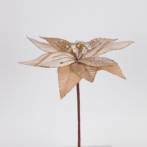 [600-47411] FLOR DE TERCIOPELO, COLOR CHAMPÁN, CON CUENTAS, 33X46CM