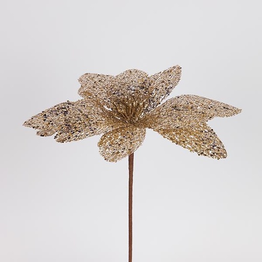 [600-47412] FLOR BRILLANTE DE CHAMPÁN, 30X45CM