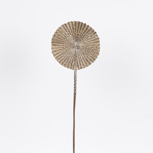 [600-47413] ABANICO, CHAMPÁN CON BRILLO, 16X51CM