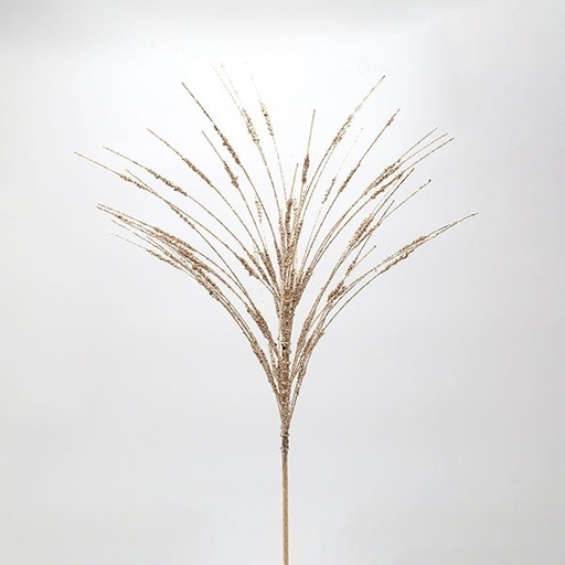 [600-47414] RAMA DE TOGA, CHAMPÁN, 61 CM