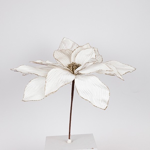 [600-47421] GRANDE POINSETTIA, MARFIL, 50X45CM