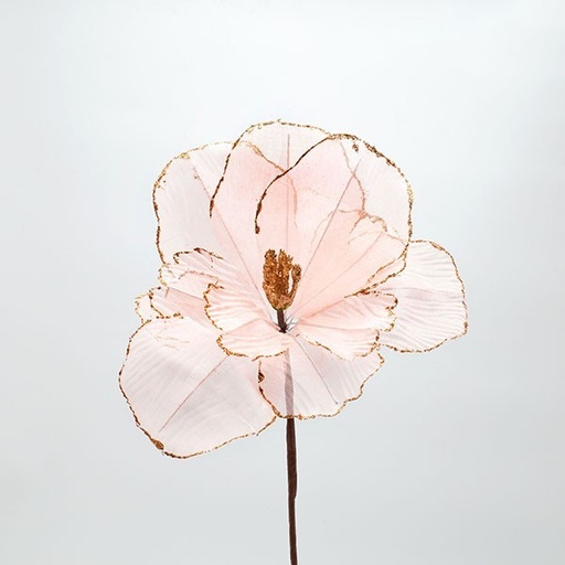 [600-47426] ANÉMONA ROSA 26X45CM