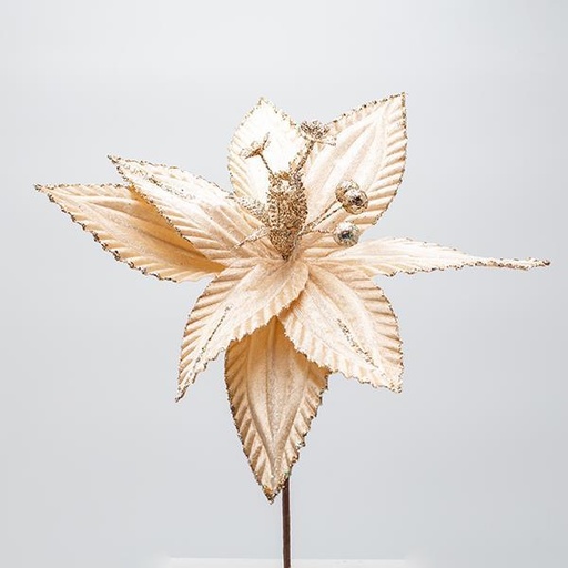 [600-47595] FLOR, CHAMPÁN CON LÍNEA DE BRILLO DISCRETA, 30X20CM