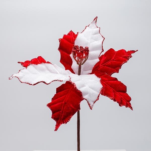 [600-47629] POINSETTIA DE CARAMELO, 27X20CM