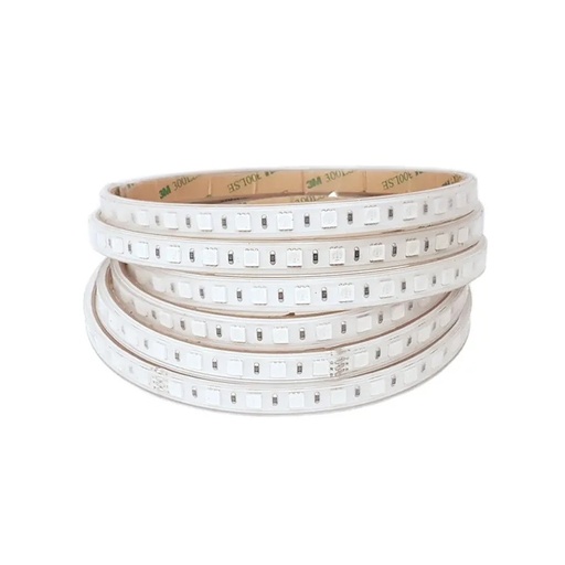 [T103-IP65] TIRA LED SMD5050 12W/m 230V RGB IP65 (PRECIO POR METRO)