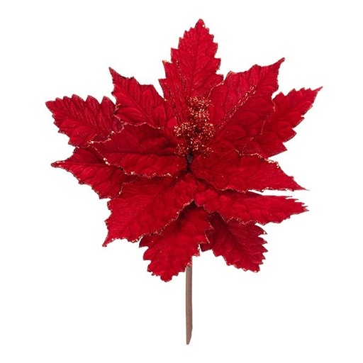 [600-49370] FLOR DE PASCUA CON FLORAL PURPURINA, INTENSO ROJO TERCIOPELO, 41X28CM