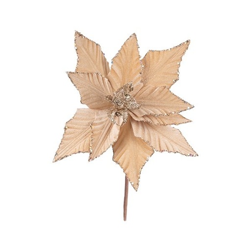 [600-49380] TERCIOPELO FLOR DE PASCUA, CHAMPÁN, CON PURPURINA, 30X20CM