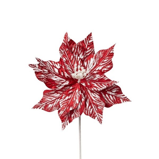 [600-48705] FLOR DE PASCUA, HELADO CARAMELO, 30X45CM