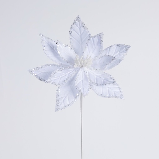 [600-48241] FLOR DE PASCUA, BLANCO CON IMPRESIONANTE CONTORNO, 31X45CM