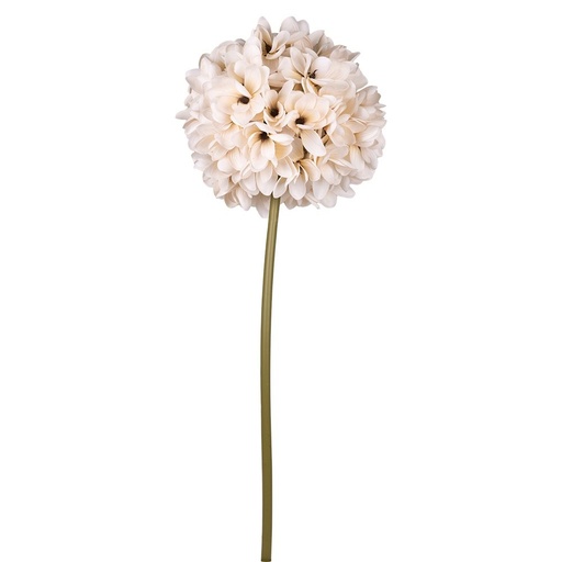 [600-48634] MAGNOLIA, CREMA, 35X35X130CM